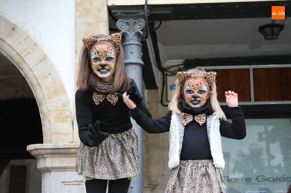 Foto 6 - GALER&Iacute;A DE IM&Aacute;GENES &ndash;&nbsp;Carnaval de Alba de Tormes