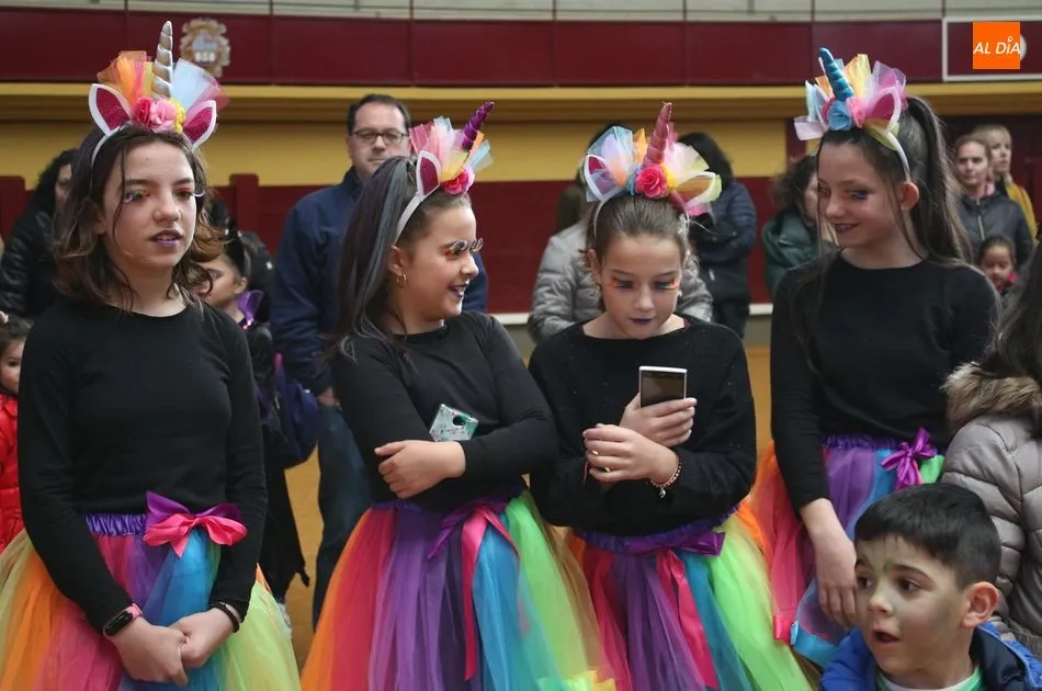 Foto 5 - GALER&Iacute;A DE IM&Aacute;GENES &ndash;&nbsp;Carnaval de Alba de Tormes
