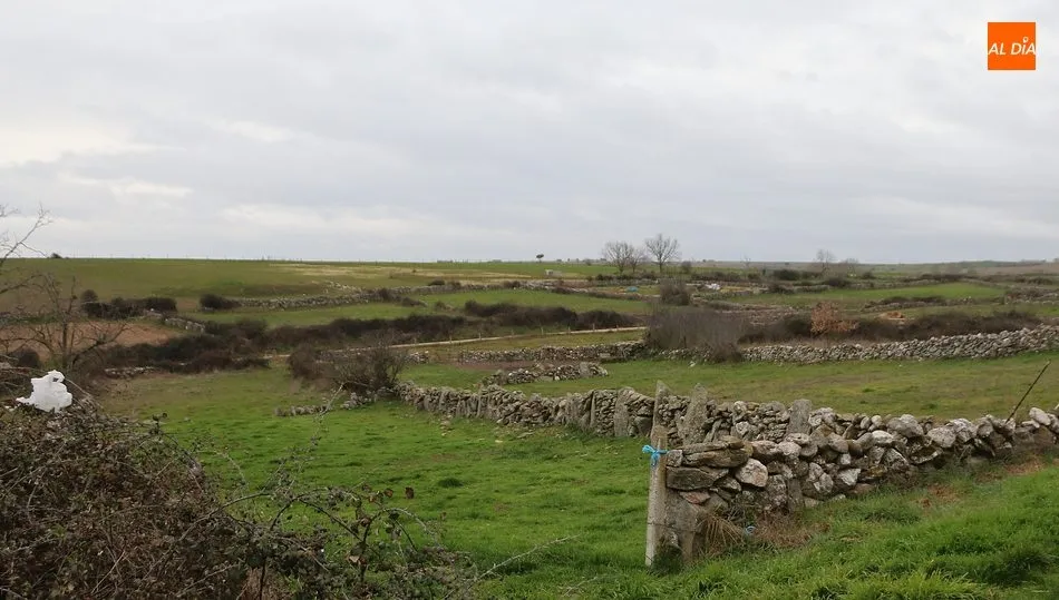 Zona en la que se ubicará la depuradora de aguas residuales de filtro verde / CORRAL