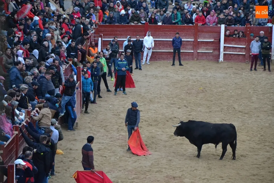 Foto 11 - Recortadores y maletillas cierran el Carnaval escenificando la &lsquo;paz&rsquo; entre ambos colectivos  