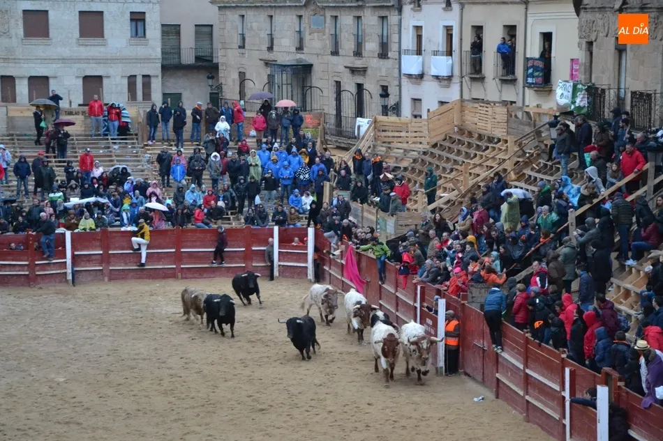Foto 4 - Recortadores y maletillas cierran el Carnaval escenificando la &lsquo;paz&rsquo; entre ambos colectivos  