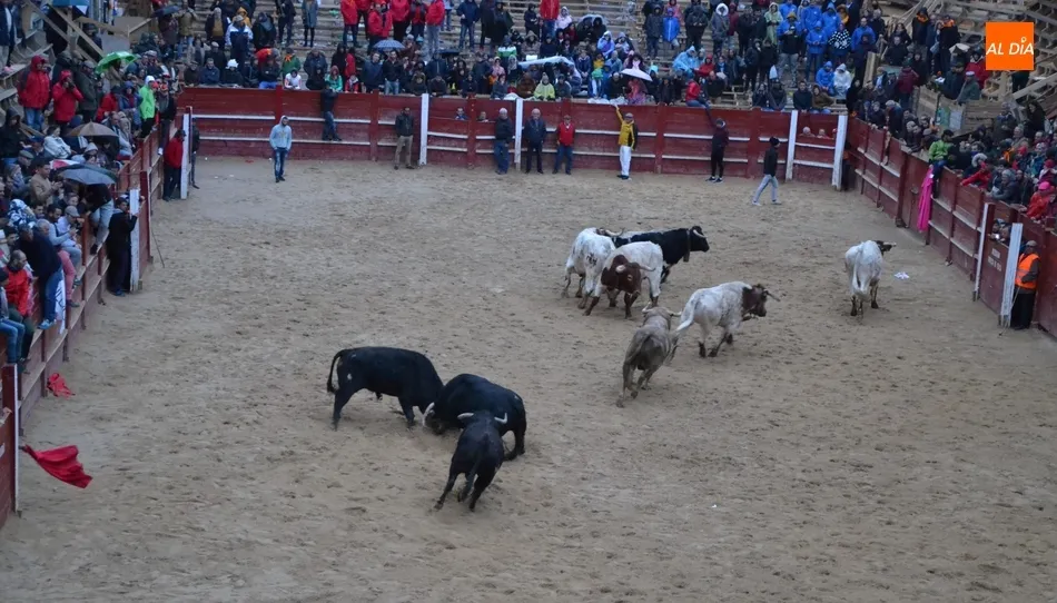 Foto 5 - Recortadores y maletillas cierran el Carnaval escenificando la &lsquo;paz&rsquo; entre ambos colectivos  