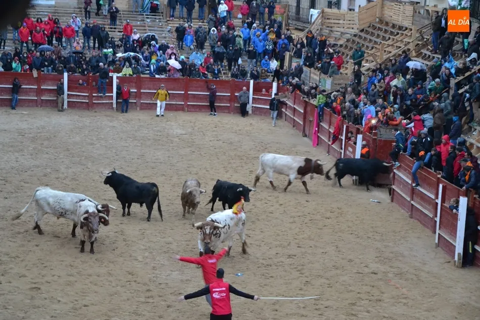 Foto 3 - Recortadores y maletillas cierran el Carnaval escenificando la &lsquo;paz&rsquo; entre ambos colectivos  