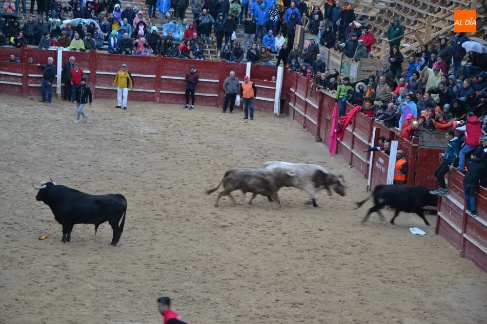 Foto 2 - Recortadores y maletillas cierran el Carnaval escenificando la &lsquo;paz&rsquo; entre ambos colectivos  