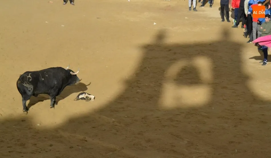 Guía para los de la frase ‘He estado todos los días de fiesta y no he visto nada’  