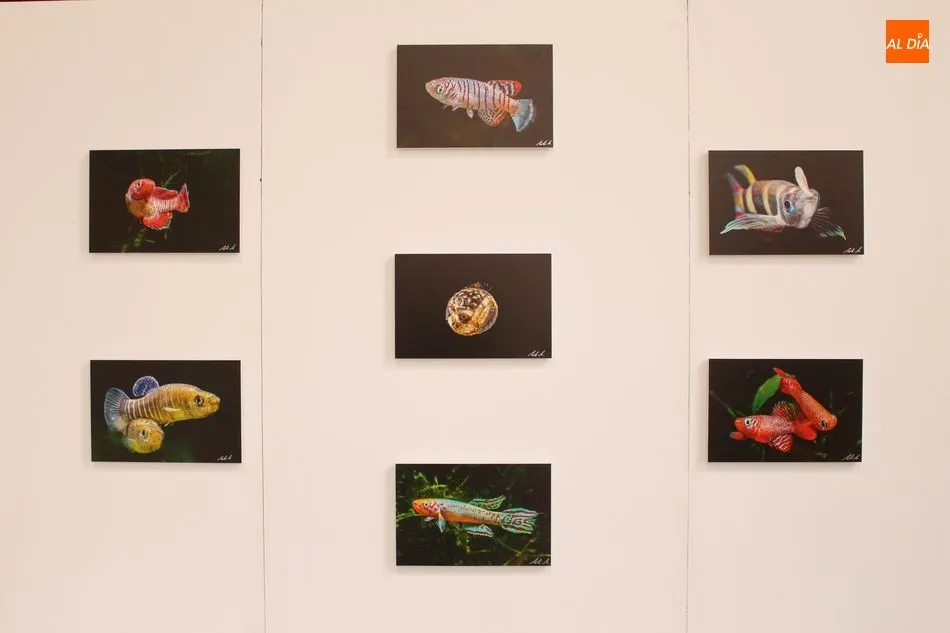 Foto 10 - Neli Mart&iacute;n muestra la &ldquo;naturaleza en estado puro&rdquo; en la exposici&oacute;n fotogr&aacute;fica del Patio de ...