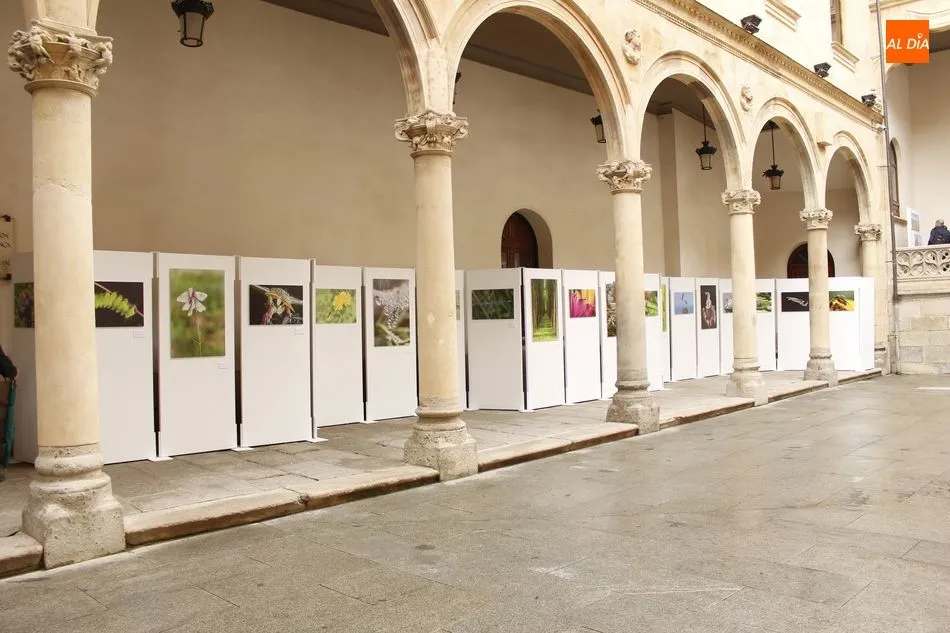 Foto 7 - Neli Mart&iacute;n muestra la &ldquo;naturaleza en estado puro&rdquo; en la exposici&oacute;n fotogr&aacute;fica del Patio de ...