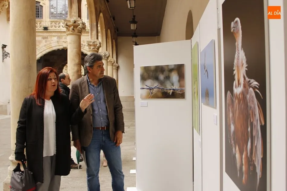 Foto 6 - Neli Mart&iacute;n muestra la &ldquo;naturaleza en estado puro&rdquo; en la exposici&oacute;n fotogr&aacute;fica del Patio de ...