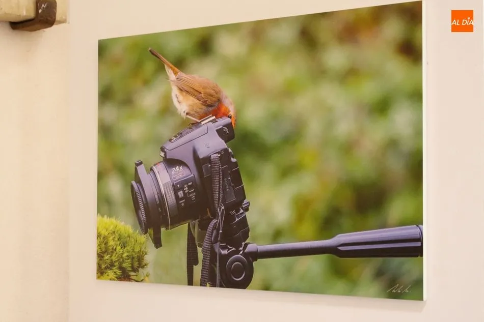 Foto 5 - Neli Mart&iacute;n muestra la &ldquo;naturaleza en estado puro&rdquo; en la exposici&oacute;n fotogr&aacute;fica del Patio de ...