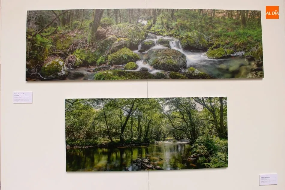Foto 3 - Neli Mart&iacute;n muestra la &ldquo;naturaleza en estado puro&rdquo; en la exposici&oacute;n fotogr&aacute;fica del Patio de ...