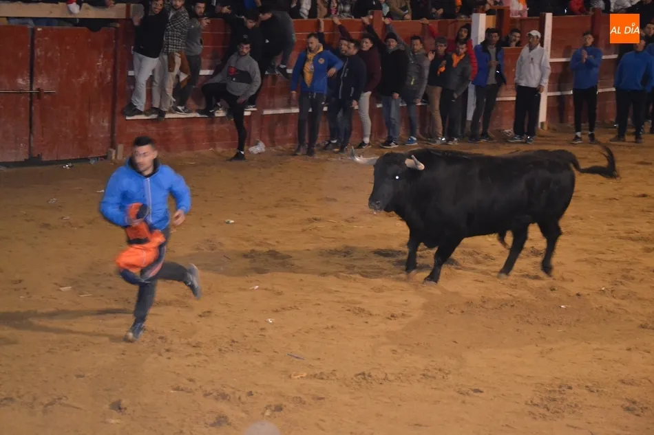 Foto 3 - Uno de los astados de la capea nocturna del Lunes, Toro M&aacute;s Bravo del Carnaval 2019  