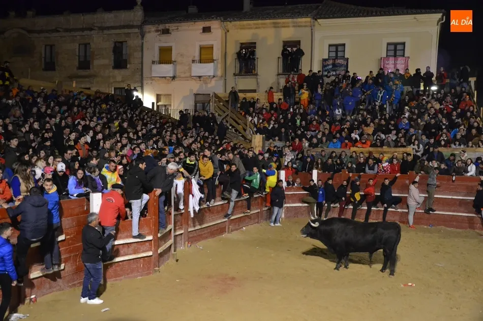 Foto 2 - Uno de los astados de la capea nocturna del Lunes, Toro M&aacute;s Bravo del Carnaval 2019  