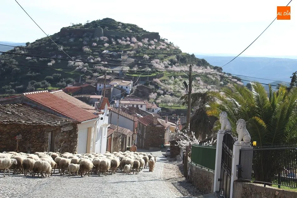Foto 5 - De Barca d&acute;Alva a Foz C&ocirc;a, un paseo entre almendros en flor  
