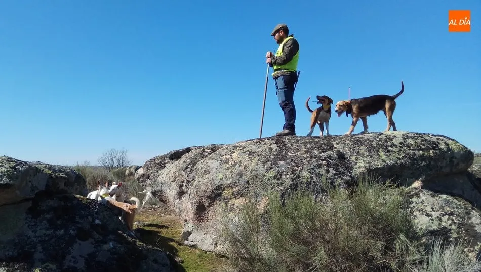 A pesar del buen trabajo de los perros, los resultados no se dieron por la ausencia de cochinos / CORRAL