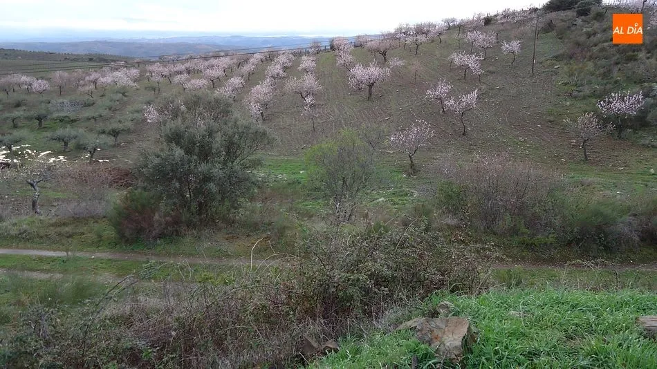 Foto 9 - De Barca d&acute;Alva a Foz C&ocirc;a, un paseo entre almendros en flor  
