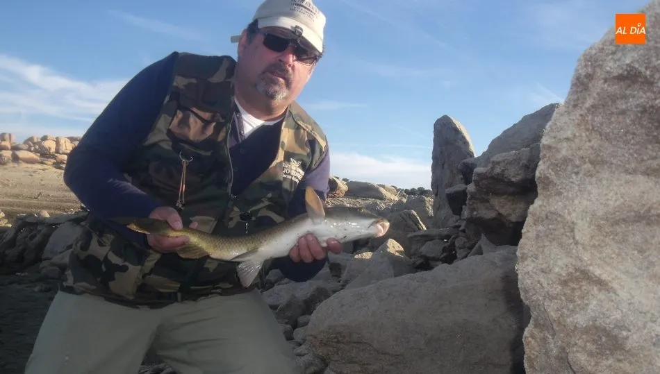 Uno de los barbos que sucumbieron a la chernobyl el pasado fin de semana en el embalse de Almendra / CORRAL