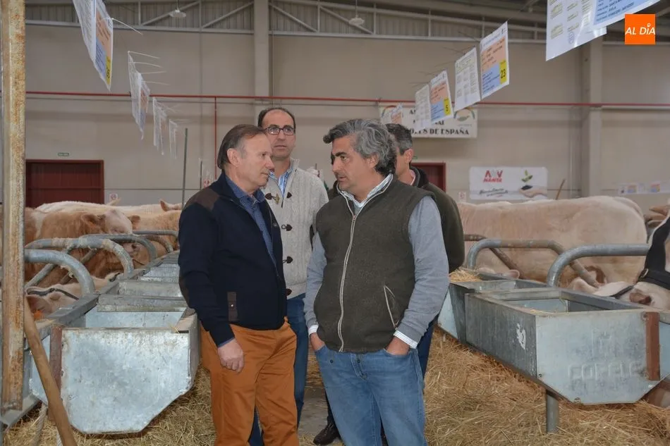Foto 9 - La &lsquo;miniferia&rsquo; ganadera se consolida como el mejor escaparate de animales j&oacute;venes de calidad