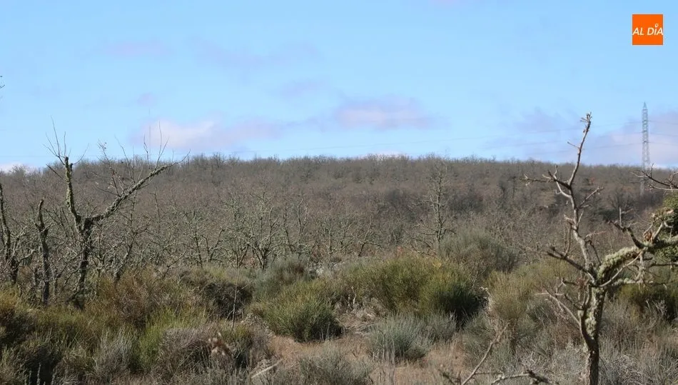 Zona de la finca Las Cañadas en las que se ubica el proyecto de Ibedrola / CORRAL