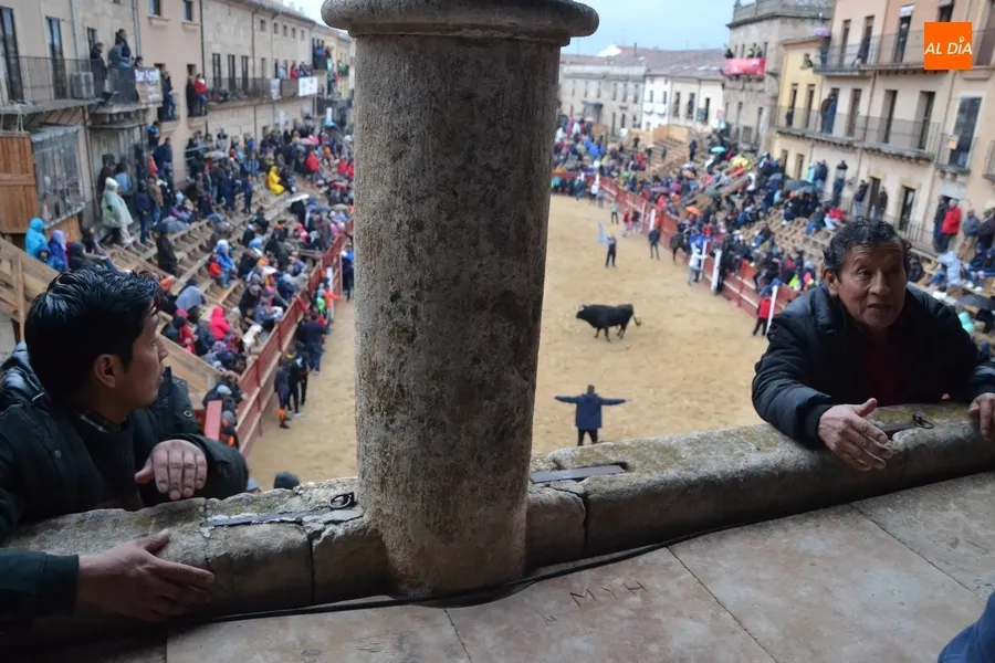 Las últimas miradas al Carnaval 2019: un repaso a 40 imágenes curiosas  