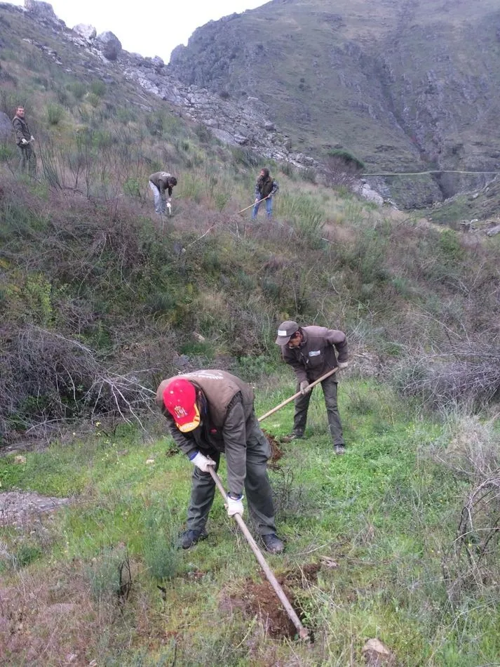 Foto 3 - Alumnos de Santa Marta reforestan las zonas asoladas por los incendios de Portugal&nbsp;  