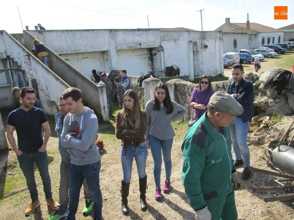 Foto 11 - Herradero en Rollanejo, una tradici&oacute;n del Campo Charro  