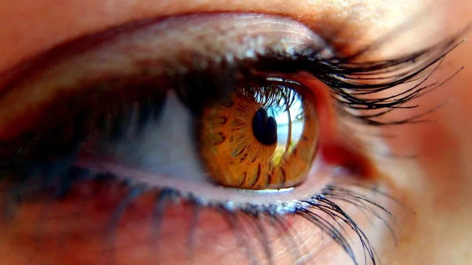 La Asociación de Glaucoma para Afectados y Familiares (AGAF) advierten de la falta de estudios y de investigaciones en profundidad centrados en el Glaucoma y la mujer