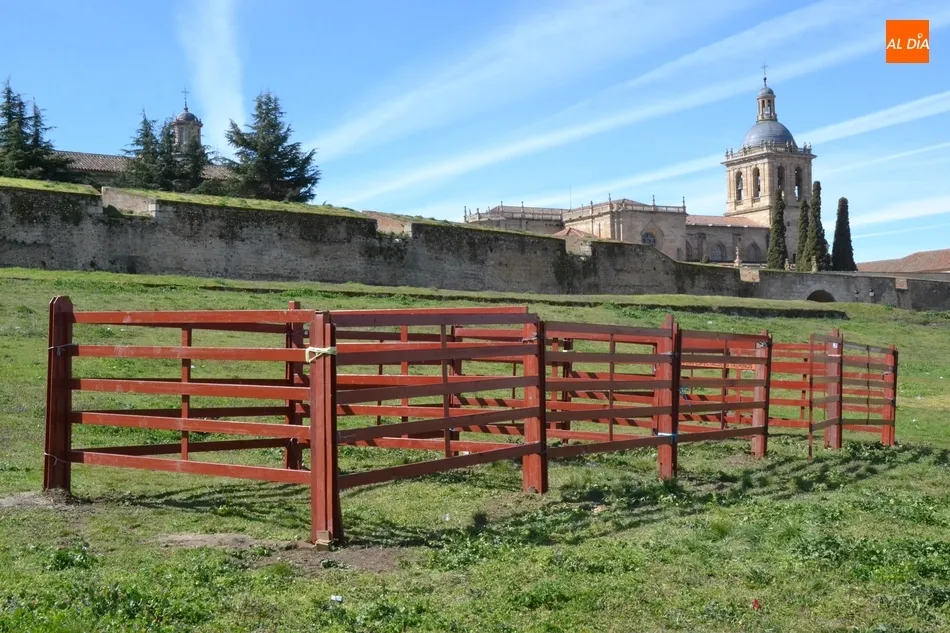 Varias agujas carnavaleras ‘viajan’ al año 1944 antes de su despedida definitiva  