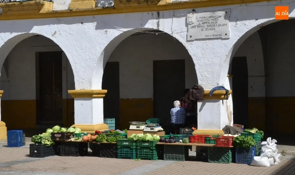 Foto 9 - Regresa el Mercado de los Martes dentro de una animada ma&ntilde;ana en el centro hist&oacute;rico  