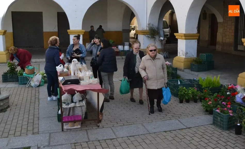 Foto 8 - Regresa el Mercado de los Martes dentro de una animada ma&ntilde;ana en el centro hist&oacute;rico  