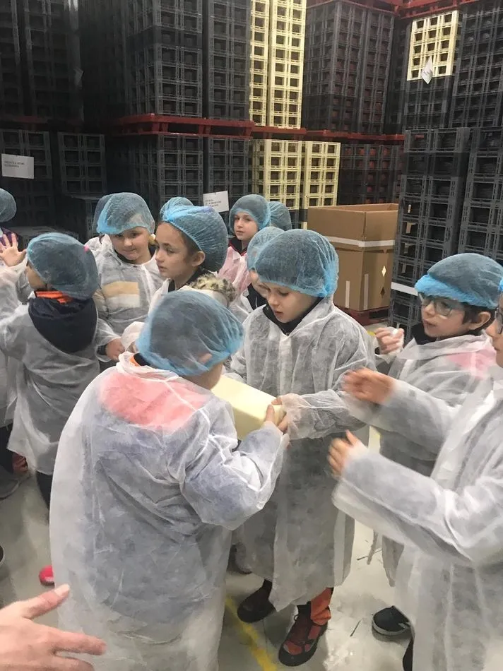 Foto 6 - Alumnos del Colegio Antonio Machado disfrutan de la visita a una f&aacute;brica de quesos