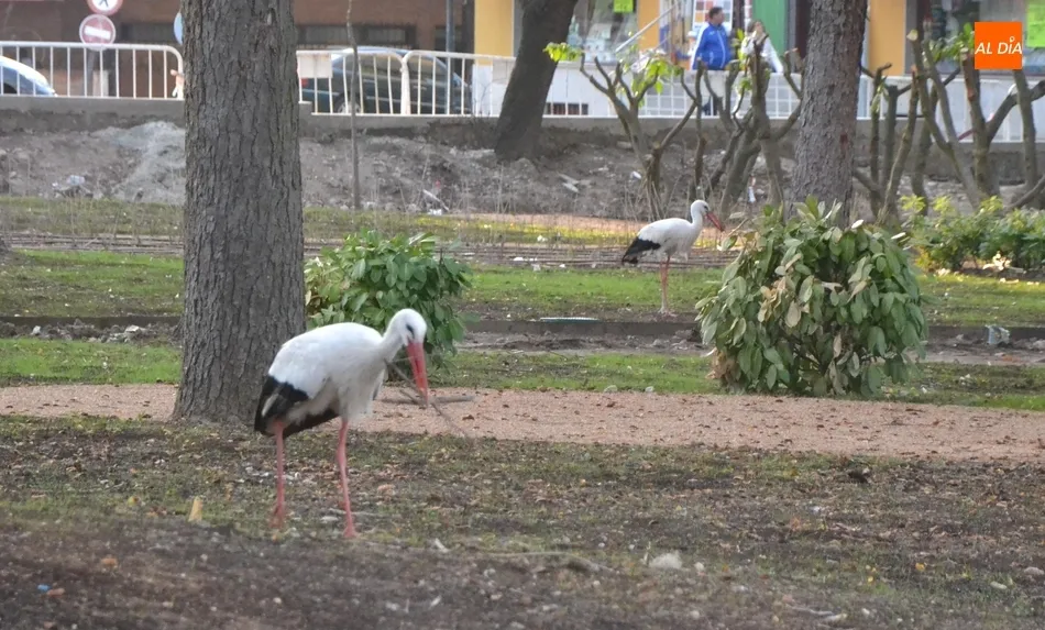 1Foto: A ver si van acabando...  