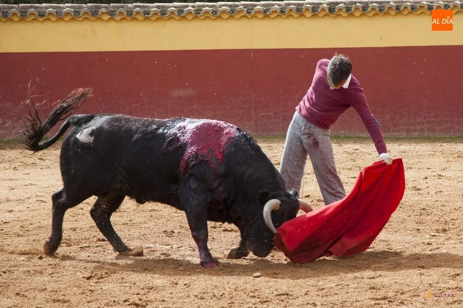 Foto 8 - &lsquo;Association Ayuda Jeunes Toreros&rsquo;,&nbsp;afici&oacute;n para fomentar el toreo  