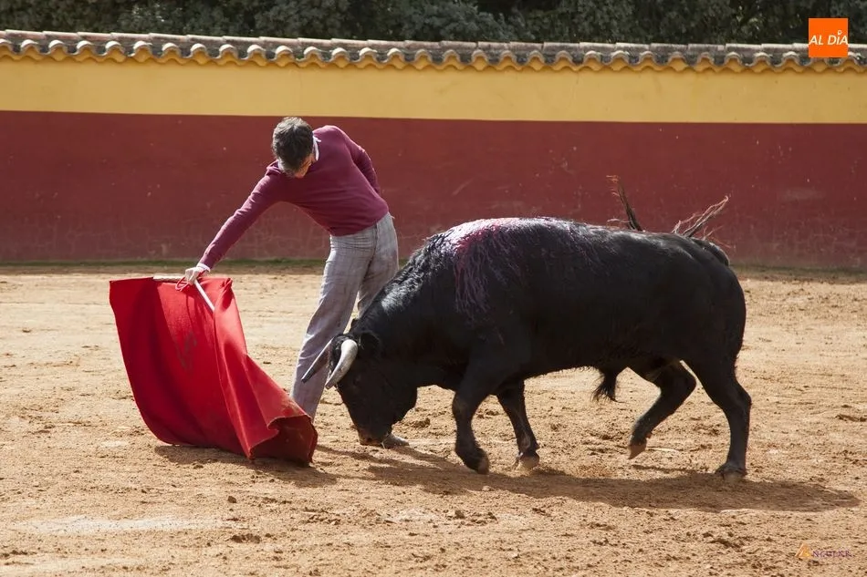 Foto 6 - &lsquo;Association Ayuda Jeunes Toreros&rsquo;,&nbsp;afici&oacute;n para fomentar el toreo  