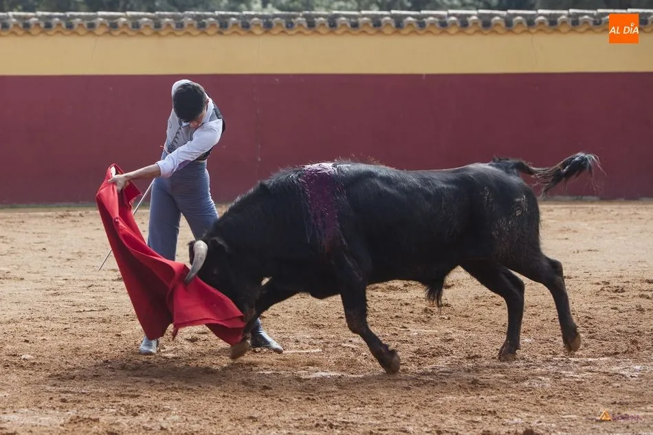 Foto 5 - &lsquo;Association Ayuda Jeunes Toreros&rsquo;,&nbsp;afici&oacute;n para fomentar el toreo  