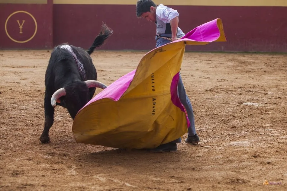 Foto 4 - &lsquo;Association Ayuda Jeunes Toreros&rsquo;,&nbsp;afici&oacute;n para fomentar el toreo  
