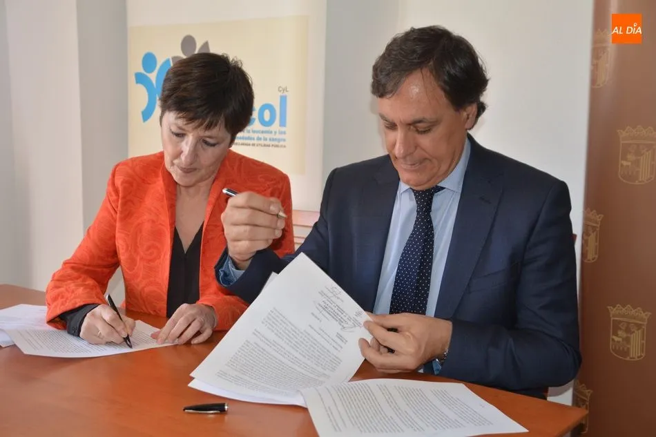 Foto 6 - El Ayuntamiento repartir&aacute; 641.000 euros entre m&aacute;s de 50&nbsp;asociaciones de salud y ayuda mutua  