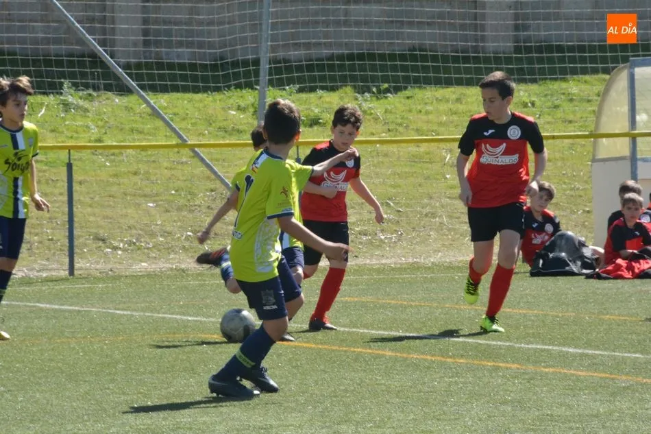 Foto 10 - Resultados, clasificaciones e im&aacute;genes del f&uacute;tbol base provincial