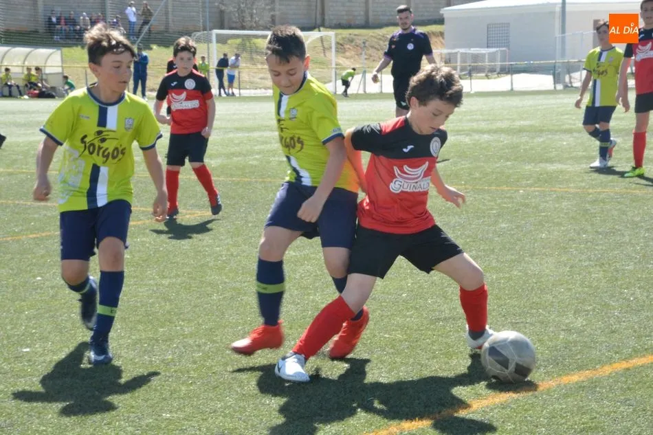 Foto 5 - Resultados, clasificaciones e im&aacute;genes del f&uacute;tbol base provincial