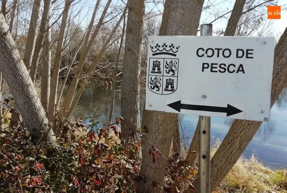 Foto 6 - Inicio de la temporada de trucha con escasos pescadores y un r&iacute;o con bajo caudal  