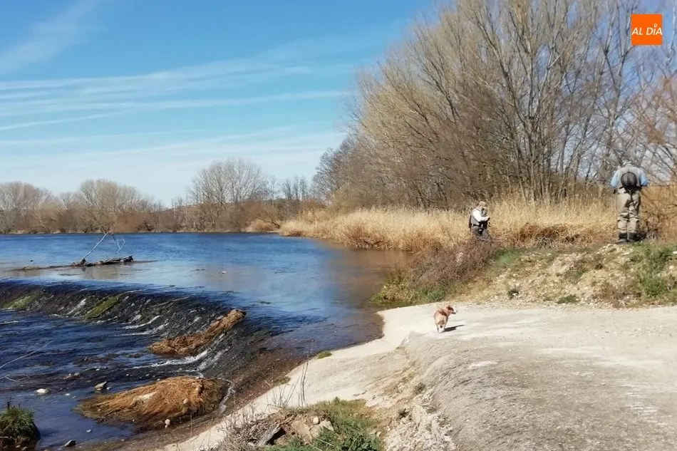 Foto 5 - Inicio de la temporada de trucha con escasos pescadores y un r&iacute;o con bajo caudal  