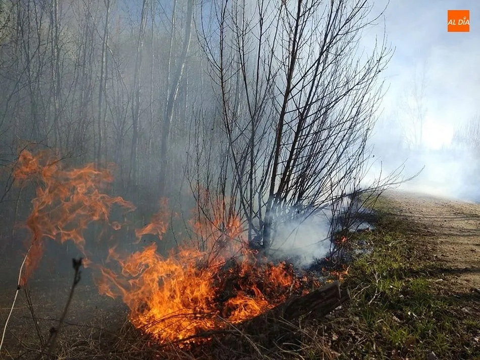 Foto 3 - Extinguidos tres peque&ntilde;os incendios forestales en el entorno de Guijuelo