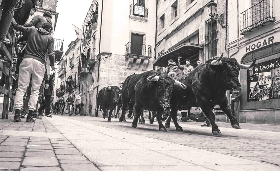 Elegidas las 12 imágenes que integrarán el nuevo Calendario Carnavalero, obra de 6 fotógrafos  