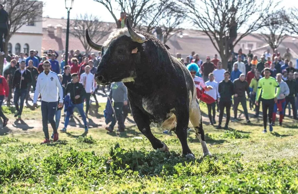 Foto 10 - Elegidas las 12 im&aacute;genes que integrar&aacute;n el nuevo Calendario Carnavalero, obra de 6 fot&oacute;grafos  