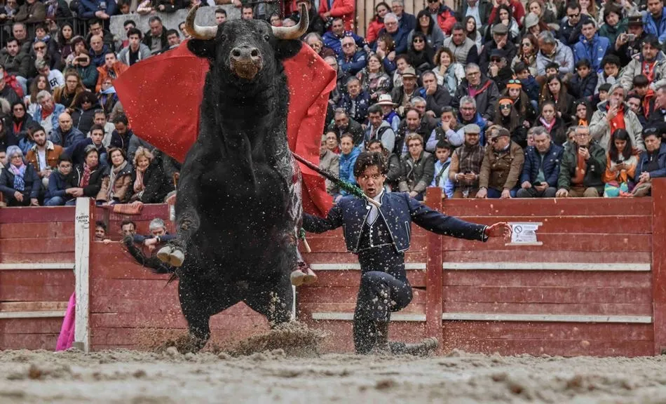 Foto 7 - Elegidas las 12 im&aacute;genes que integrar&aacute;n el nuevo Calendario Carnavalero, obra de 6 fot&oacute;grafos  