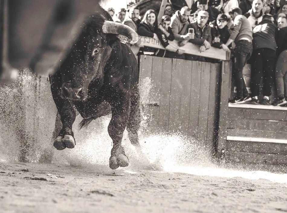 Foto 8 - Elegidas las 12 im&aacute;genes que integrar&aacute;n el nuevo Calendario Carnavalero, obra de 6 fot&oacute;grafos  