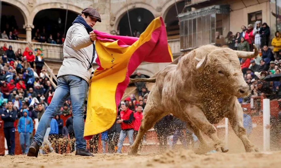 Foto 5 - Elegidas las 12 im&aacute;genes que integrar&aacute;n el nuevo Calendario Carnavalero, obra de 6 fot&oacute;grafos  