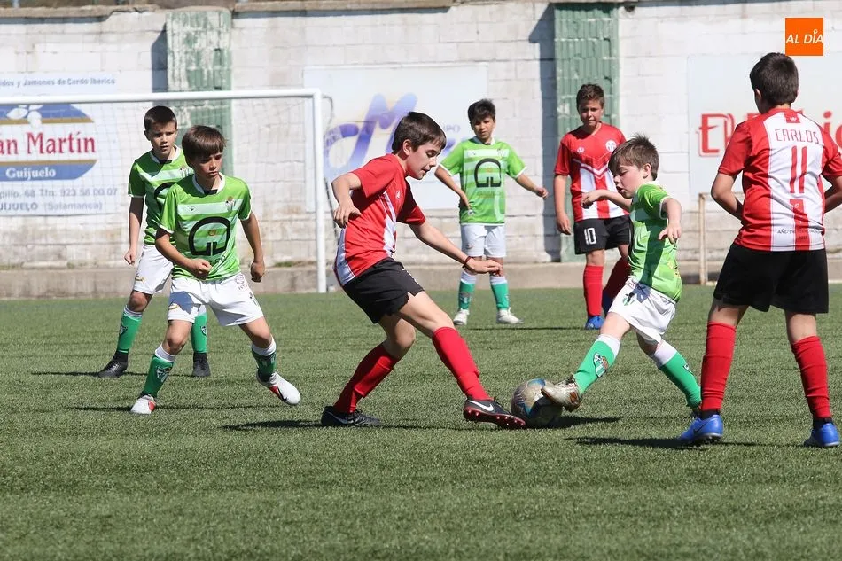 Juvenil, Infantil y Alevín C, únicas victorias de la base del CD Guijuelo en la jornada