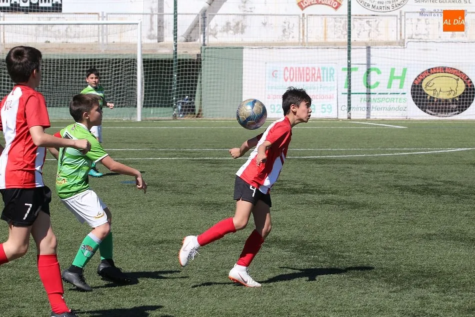 Foto 8 - Juvenil, Infantil y Alev&iacute;n C, &uacute;nicas victorias de la base del CD Guijuelo en la jornada