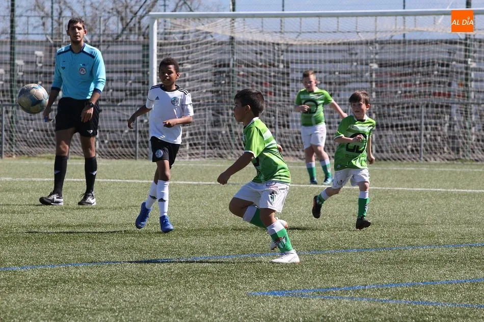 Foto 3 - Juvenil, Infantil y Alev&iacute;n C, &uacute;nicas victorias de la base del CD Guijuelo en la jornada