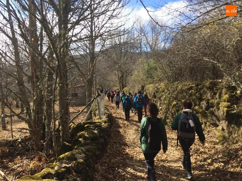 Foto 7 - Un centenar de senderistas inauguran &lsquo;Naturaleza Escondida&rsquo;